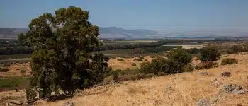תמונת אווירה - נוף של שדה ומרחבים
